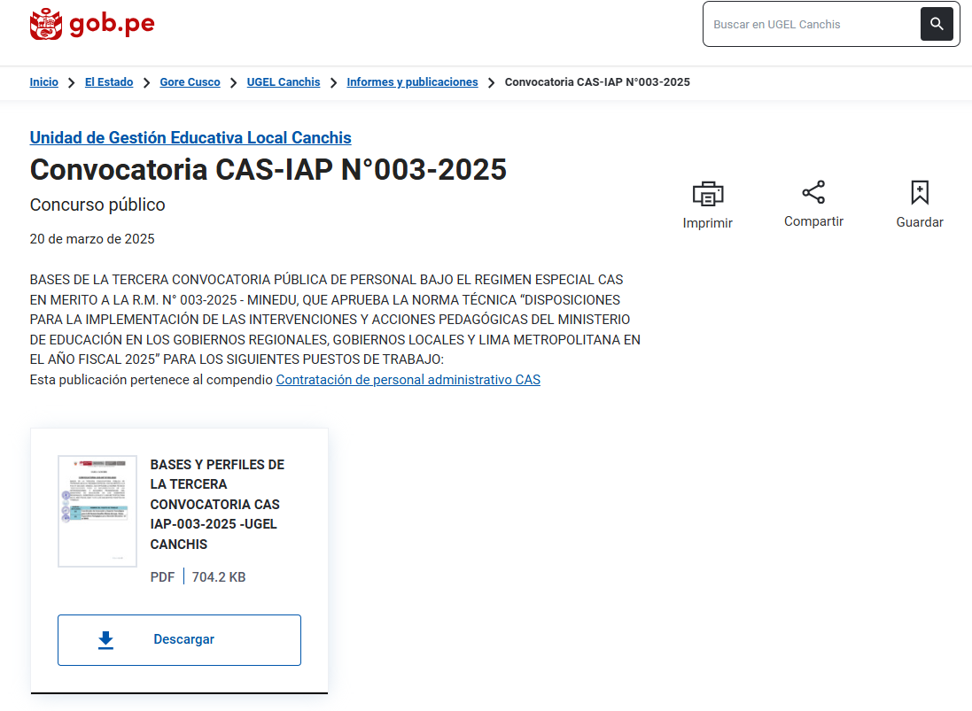 Convocatoria CAS-IAP N°003-2025